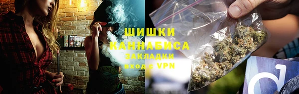 молекула духа Пересвет