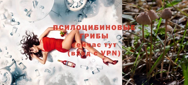 молекула духа Пересвет