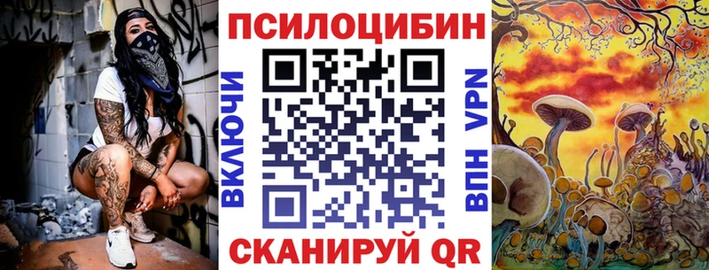 Псилоцибиновые грибы Cubensis  где купить наркоту  Пласт 