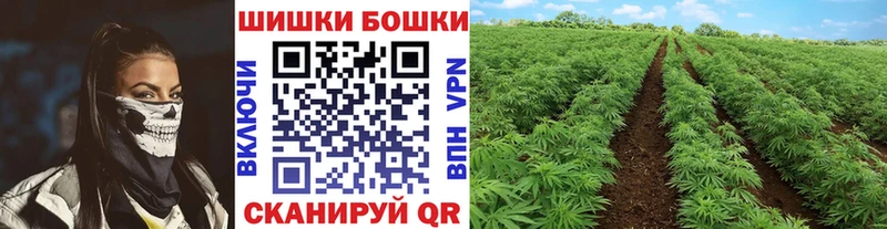 купить   Пласт  Бошки Шишки MAZAR 